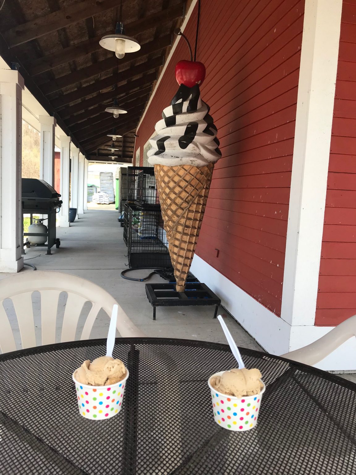 Eats Canton Creamery Is First Stop In Ice Cream Run